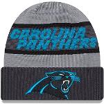 New Era Carolina Panthers NFL 2023 Sideline Tech Knit CW Gray Beanie - One-Size