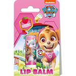 Nickelodeon Paw Patrol Lip Balm bálsamo labial para niños Raspberry 4,4 g