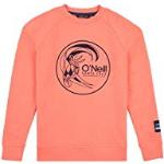Sudaderas naranja de algodón con capucha infantiles con logo O'Neill 13/14 años 