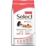 Picart Select Adult Mini Sensitive Salmon & Rice 8 Kg Comida Para Perros
