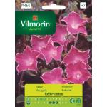 Picoteo rojo, rosa con borde blanco, semillas 1g - VILMORIN