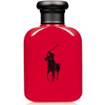 Polo Red 75 ml