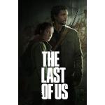 Póster de The Last Of Us de la serie HBO para pared, tamaño A4