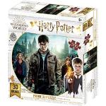 Puzzles 3D multicolor Harry Potter Harry James Potter 500 piezas 5-7 años 