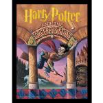 Pósters multicolor de plástico de famosos Harry Potter Ron Weasley contemporáneo 