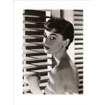 Accesorios decorativos multicolor Audrey Hepburn 