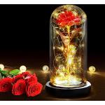 Accesorios decorativos rojos de vidrio La Bella y la Bestia Bella de carácter romántico floreados 