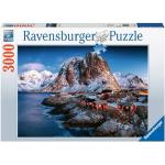 Puzzles tradicional multicolor 2000 piezas Ravensburger Más de 12 años 