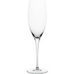 Copas de vidrio de champagne de vidrio soplado vintage Riedel 
