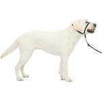 PetSafe Easy Walk Collar de Cabeza Antitirones Par