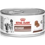 Royal Canin Canine / Feline Veterinary Diet Recovery - Pack 12 Latas 195 gr
