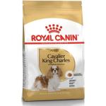 Comida para perros rebajada Royal Canin 
