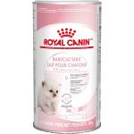 Comidas para gatos Royal Canin 