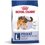 Royal Canin Maxi Adult pienso para perro adulto de razas tamaño grande - Saco de 4 Kg