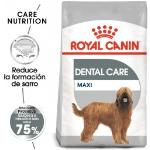 Royal Canin Dental Care Maxi - Pack 2 x Saco de 9 Kg