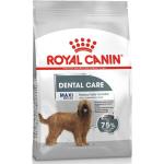 Royal Canin Maxi Dental Care pienso para perro adulto grande con sensibilidad dental - Saco de 9 Kg