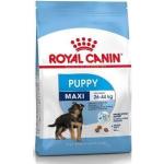 Royal Canin Maxi Puppy pienso para cachorros de razas tamaño grande - Saco de 4 Kg