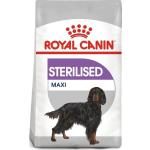 Medicados para perros Royal Canin Maxi 