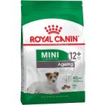 Royal Canin Mini Ageing 12+ pienso para perro en edad avanzada de razas tamaño pequeña - Pack 2 x 3,5 kg