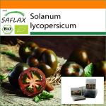 SAFLAX - Garden in the Bag - Orgánico - Tomate - Black Cherry - 10 semillas - Con sustrato en una bolsa de pie adecuada - Solanum lycopersicum