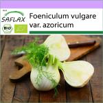 SAFLAX - Orgánico - Hinojo de Florencia - 100 semillas - Foeniculum vulgare