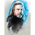 Accesorios decorativos multicolor Star Wars Luke Skywalker 