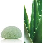 Sun & Sia esponja de konjac 100% natural Aloe Vera