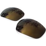 sunglasses restorer Basic Lentes de Recambio Polar