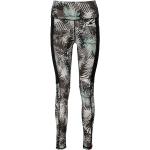 Superdry Base Tight Negro M Mujer
