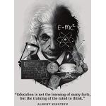 Tainsi Albert Einstein - Cita inspiradora y motivadora, 12 x 18 pulgadas, 30 x 46 cm