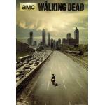 Tainsi The Walking Dead City - Póster (11 x 17 pul