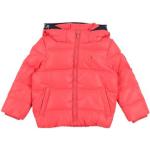 Abrigos rojos de poliester con capucha infantiles rebajados impermeables acolchados Tommy Hilfiger Sport 3 años para niño 