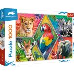 Puzzles de papel 1000 piezas de zoo 