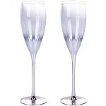 Copas plateado de vidrio de champagne de 240 ml aptas para lavavajillas en pack de 2 piezas 