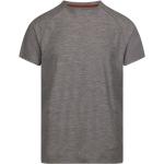 Dlx Cooper Short Sleeve T-shirt Gris S Hombre