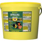Tropical Super Spirulina Forte - 5.000 ml