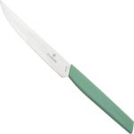 Cuchillos verdes de carne modernos Victorinox 